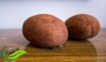 Buah Binjai, Kerabat Mangga Kaya Serat dan Vitamin dengan Segudang Manfaat bagi Kesehatan