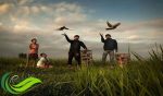 Lomba Burung Merpati, Tradisi yang Terus Hidup dan Berkembang