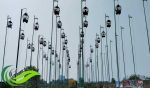 Latber PEDES Sukoharjo, Persiapan Singkat namun Peserta Tetap Antusias, Goldes Star dan Cakrawala Tampil Ciamik
